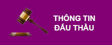 Thông tin đấu thầu